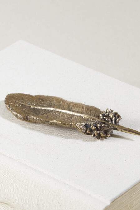 Pluma de perdiz